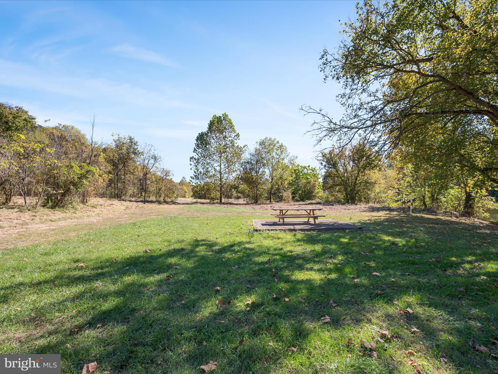 River Ridge Drive Middletown, VA 22645 - Photo 13 of 36 a view of garden with trees