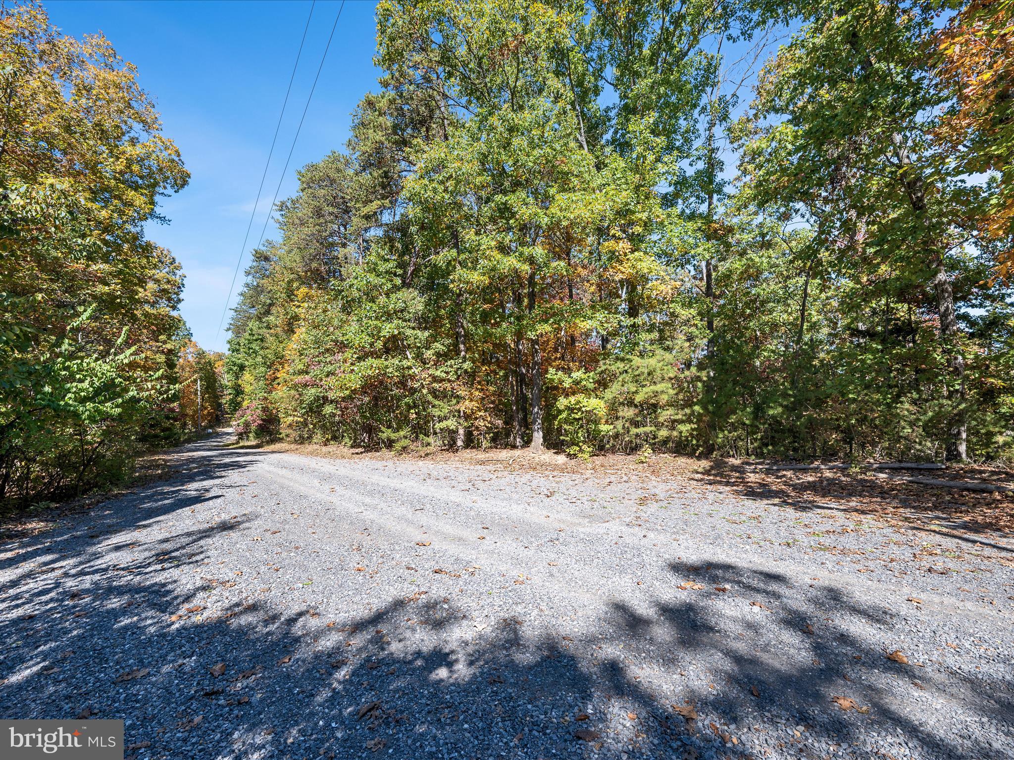 River Ridge Drive Middletown, VA 22645 - Photo 16 of 36 a view of a dirt road with trees in the background
