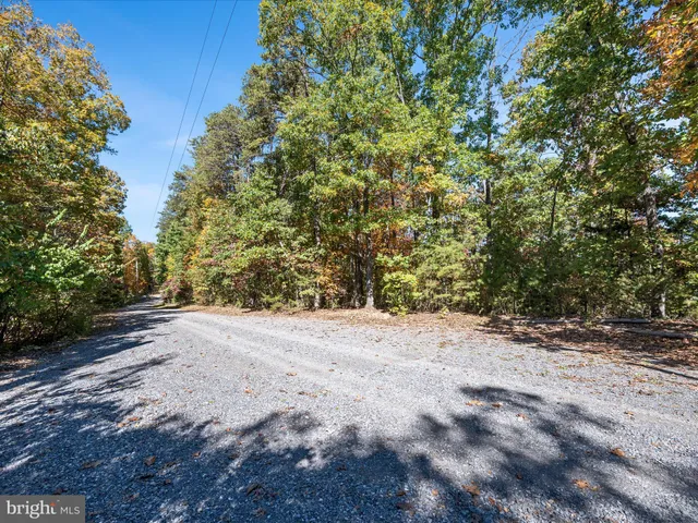 a view of a dirt road with trees in the background