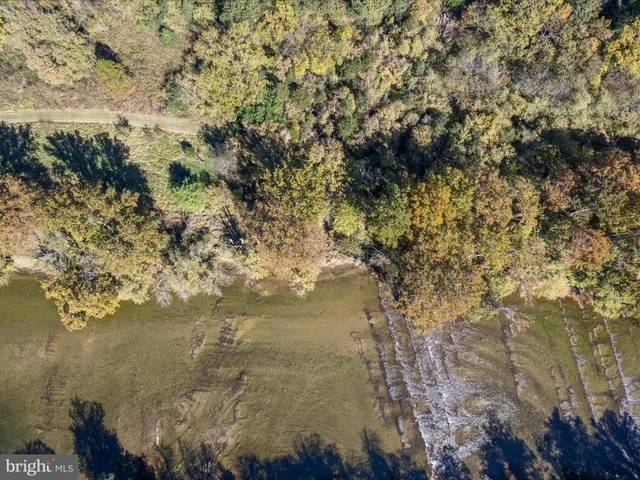 a view of a field with lots of trees