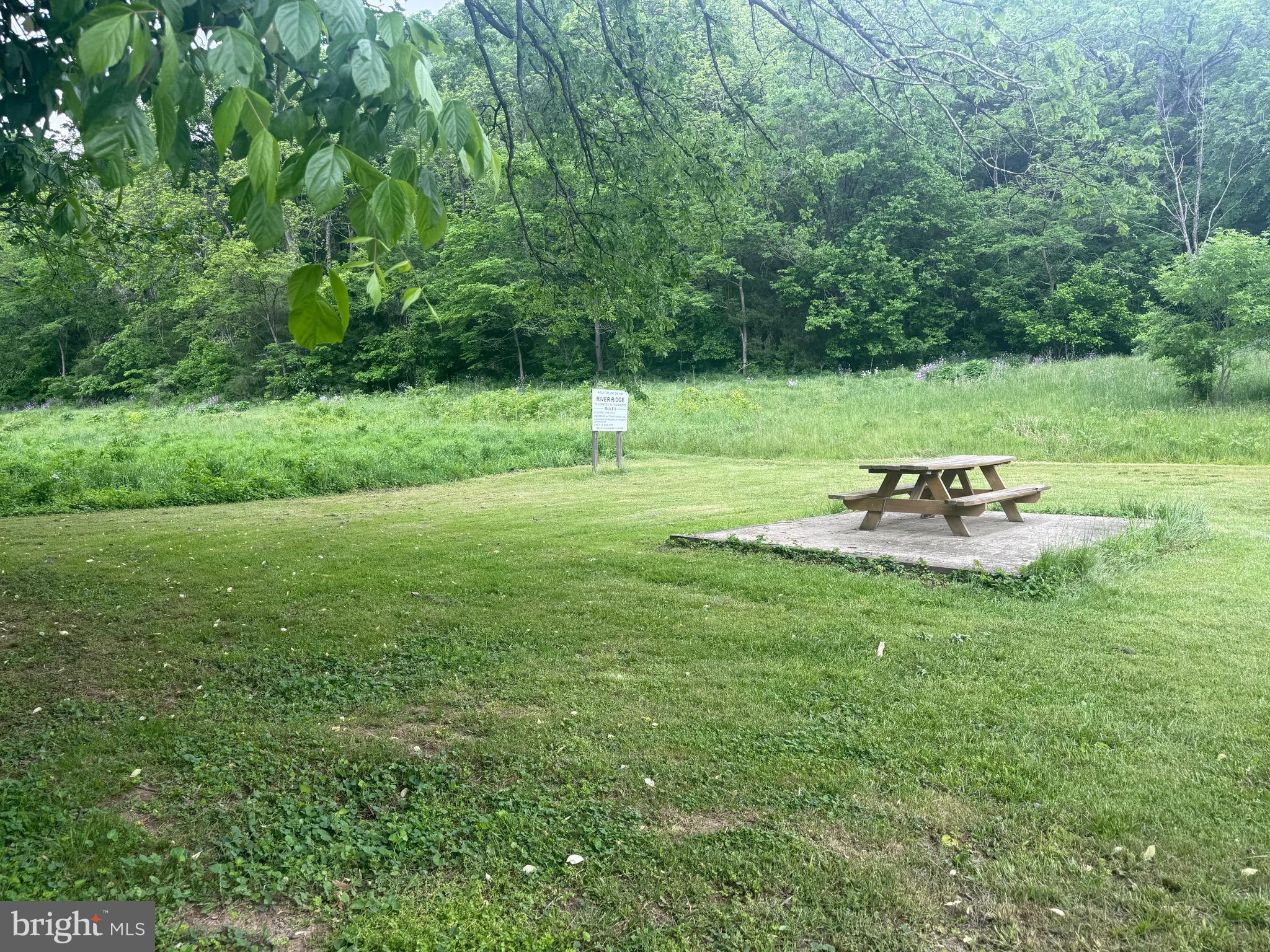 River Ridge Drive Middletown, VA 22645 - Photo 28 of 36 a backyard of a house with lots of green space