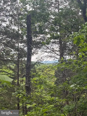 $1,263,000 | River Ridge Drive, Middletown, VA 22645