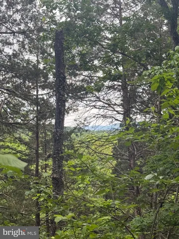 $1,263,000 | 0 River Ridge Drive, Middletown, VA 22645