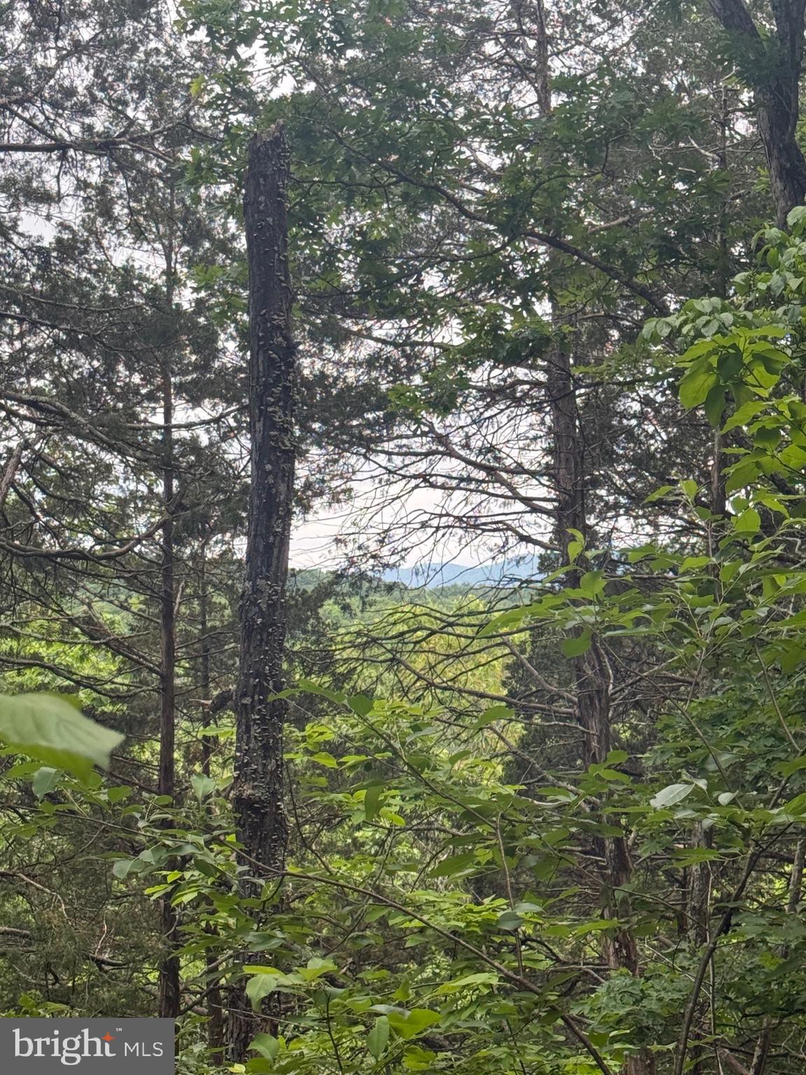 River Ridge Drive Middletown, VA 22645 - Photo 35 of 36