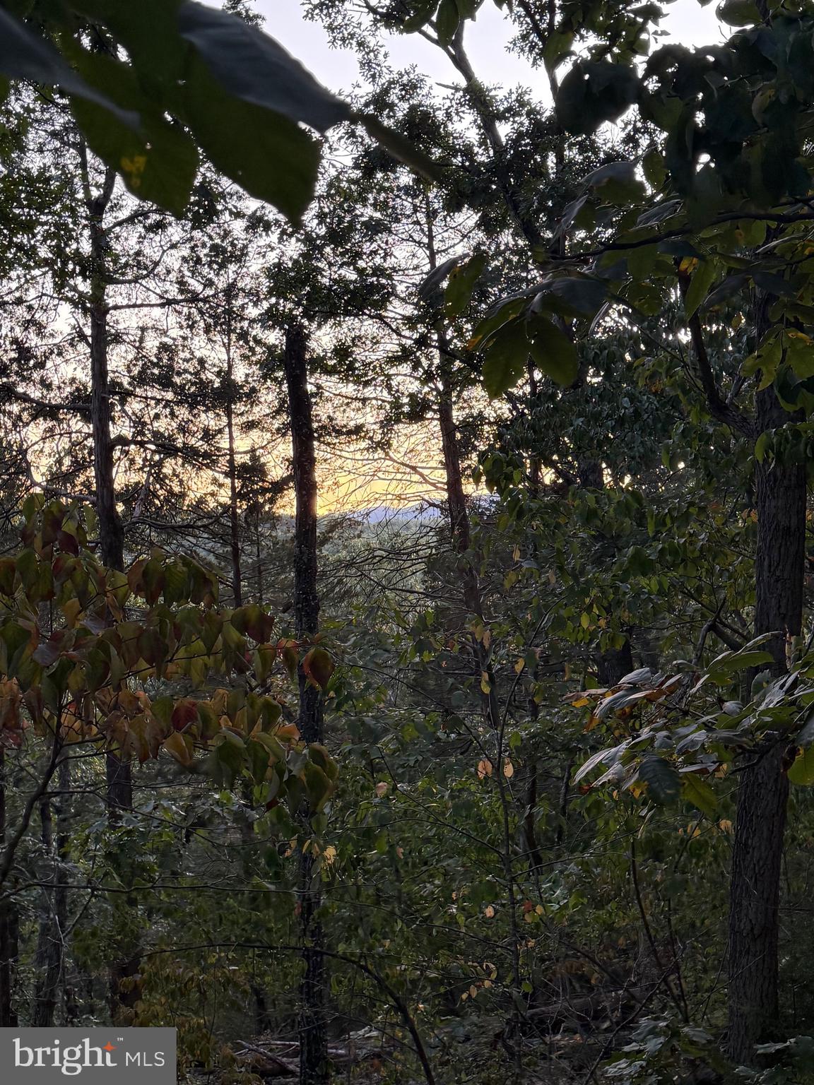 River Ridge Drive Middletown, VA 22645 - Photo 36 of 36 a view of outdoor space and a garden
