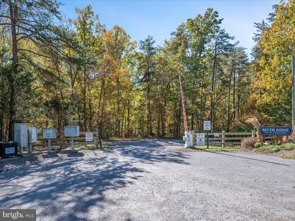 a view of outdoor space with trees