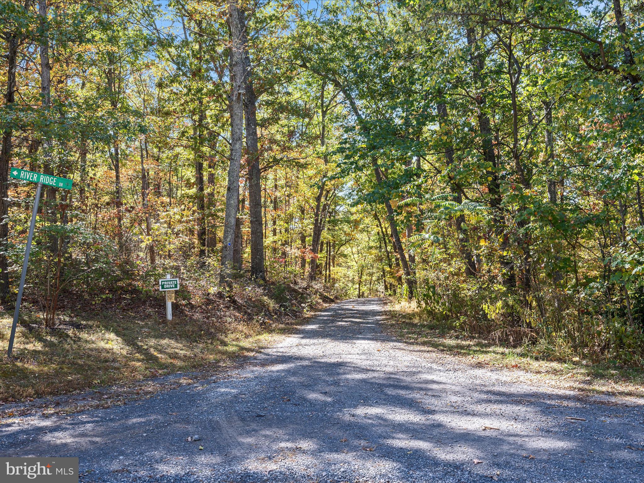 River Ridge Drive Middletown, VA 22645 - Photo 8 of 36 a view of outdoor space and trees