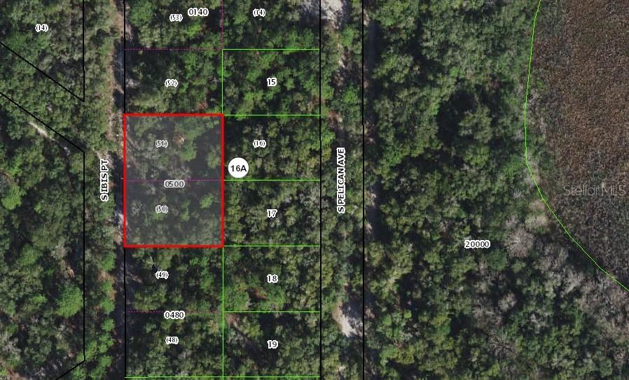 3849 South Ibis Point Inverness, FL 34450 - Photo 1 of 1 Gallery Image 1