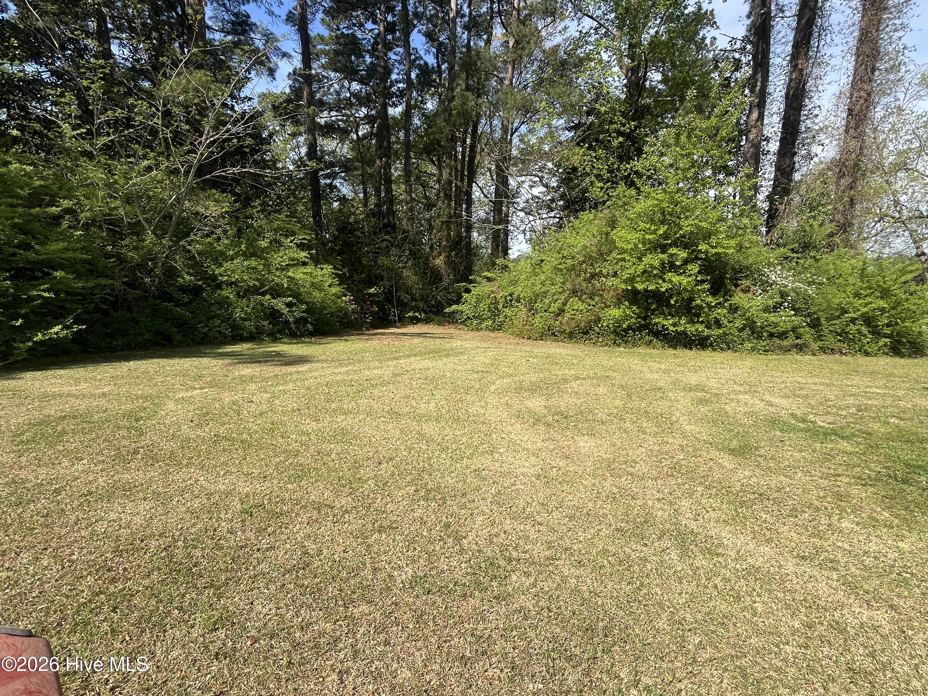 720 Main Street Bayboro, NC 28515 - Photo 2 of 35 Side Yard