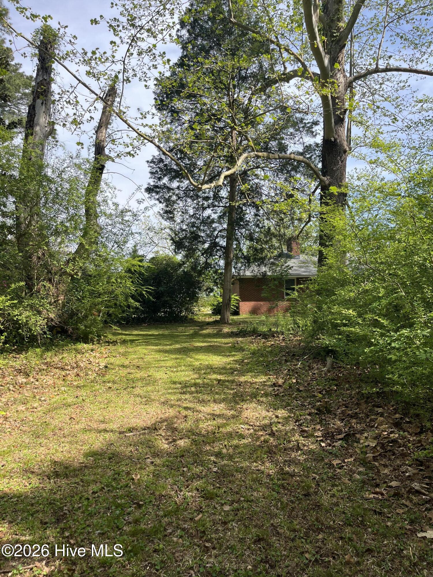 720 Main Street Bayboro, NC 28515 - Photo 3 of 35 Back Property