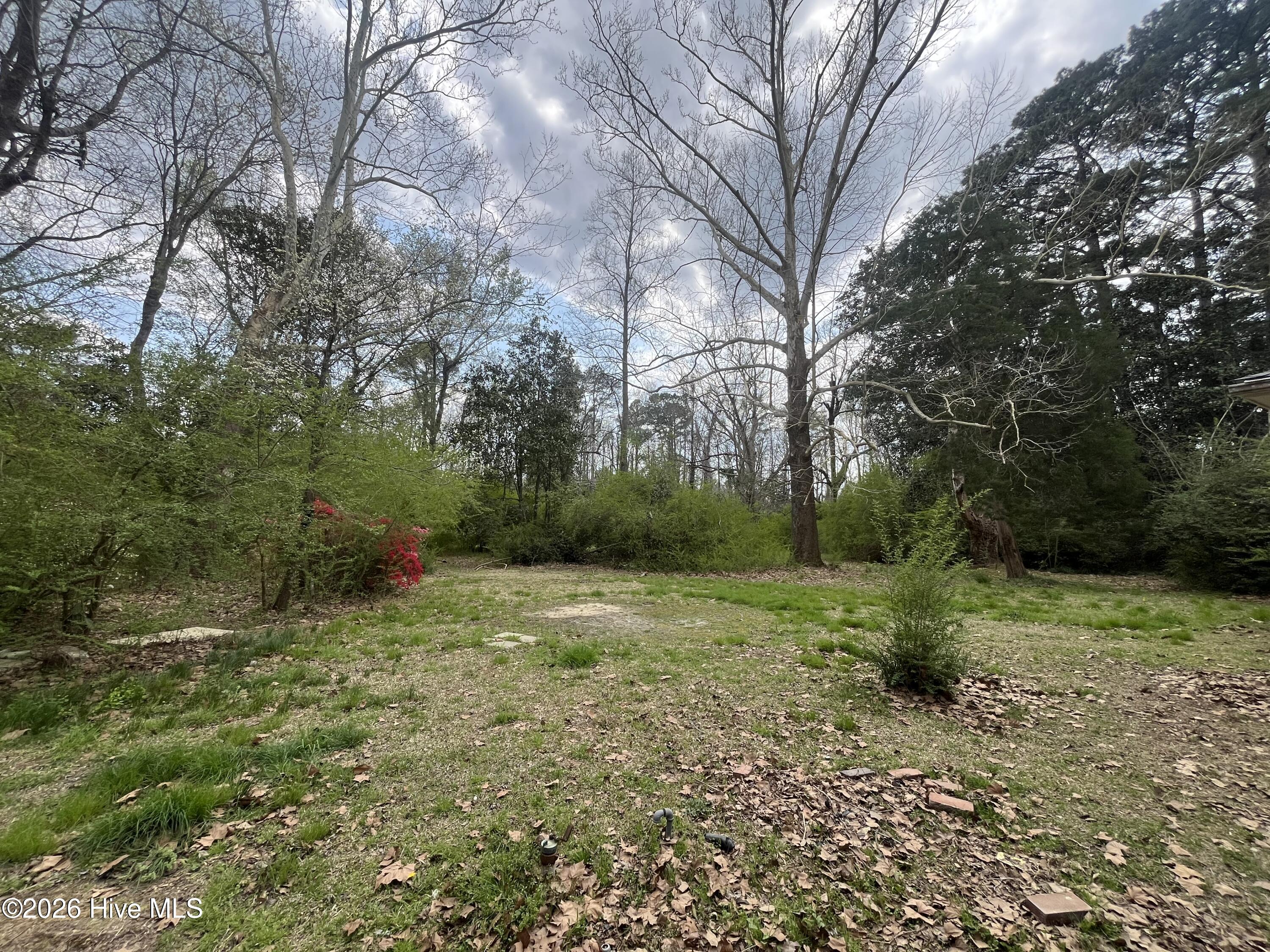 720 Main Street Bayboro, NC 28515 - Photo 35 of 35 Backyard_