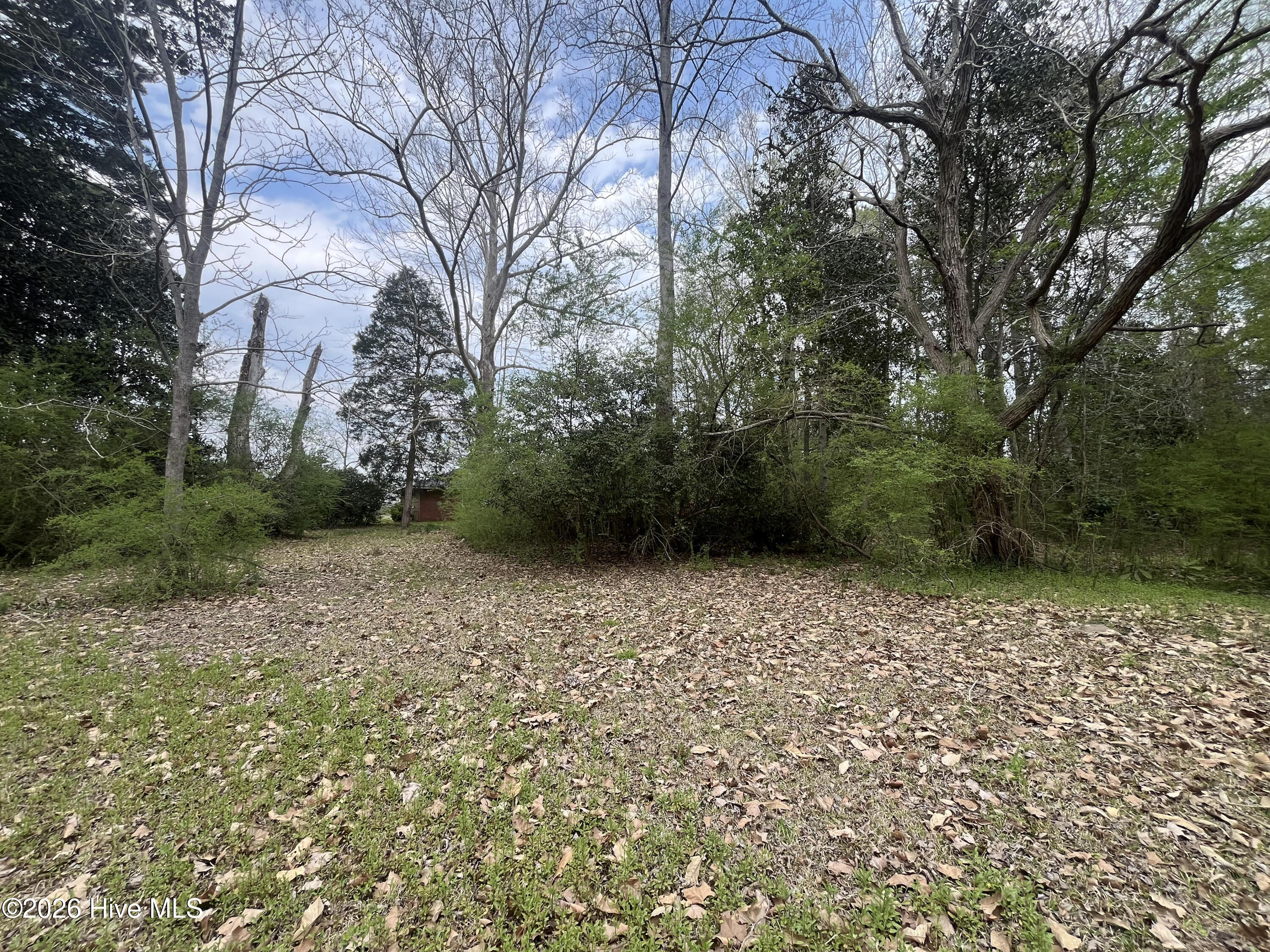 720 Main Street Bayboro, NC 28515 - Photo 7 of 35 Back__Property