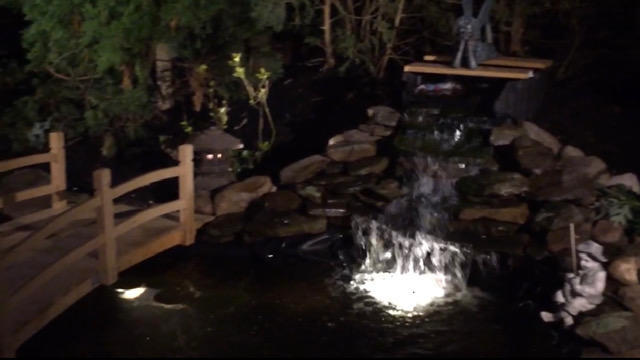 859 Patterson Road Jackson, NJ 08527 - Photo 54 of 56 859 Paterson Koi Pond