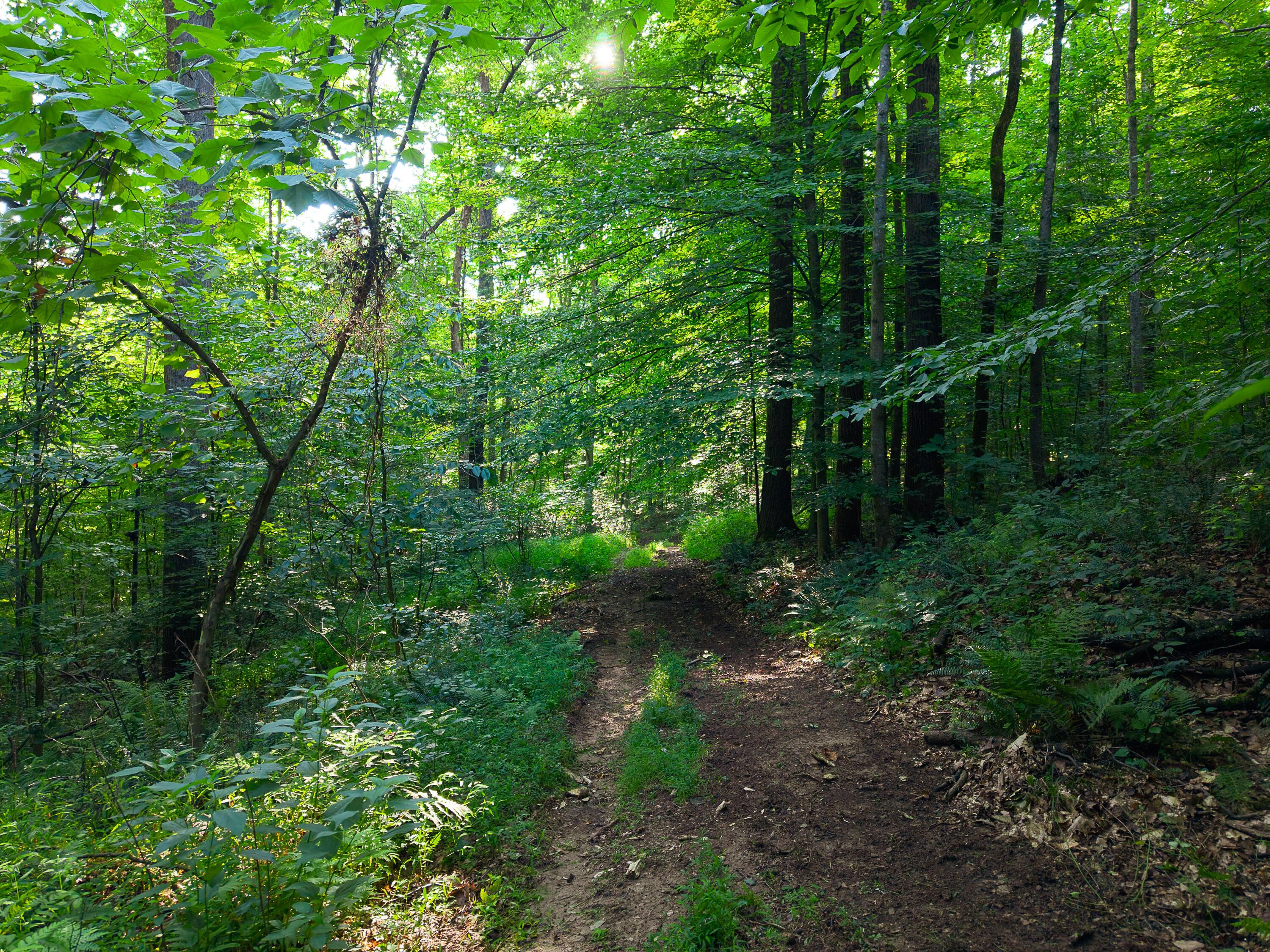 13312 Jake Tom Road Logan, OH 43138 - Photo 31 of 55 DJI_20260805084712_0156_D