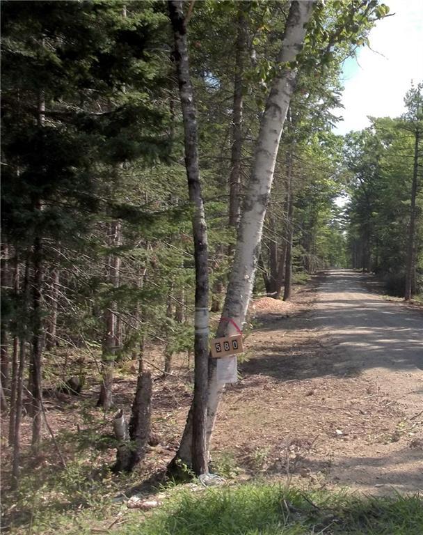 M201-l021) Point Road Hancock, ME 04640 - Photo 7 of 7 Property is to the Left of this Driveway