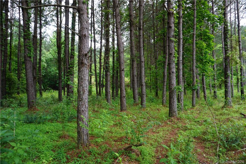 Lot # Spur Alley, Unit 11 Rutherfordton, NC 28139 - Photo 15 of 35 Gallery Image 15