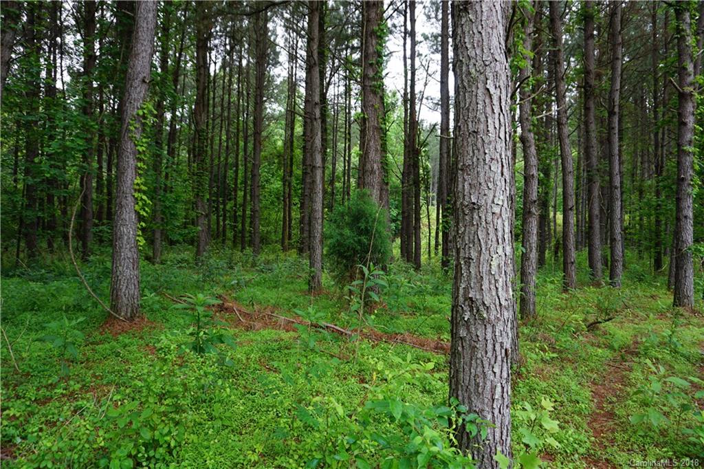 Lot # Spur Alley, Unit 11 Rutherfordton, NC 28139 - Photo 16 of 35 Gallery Image 16