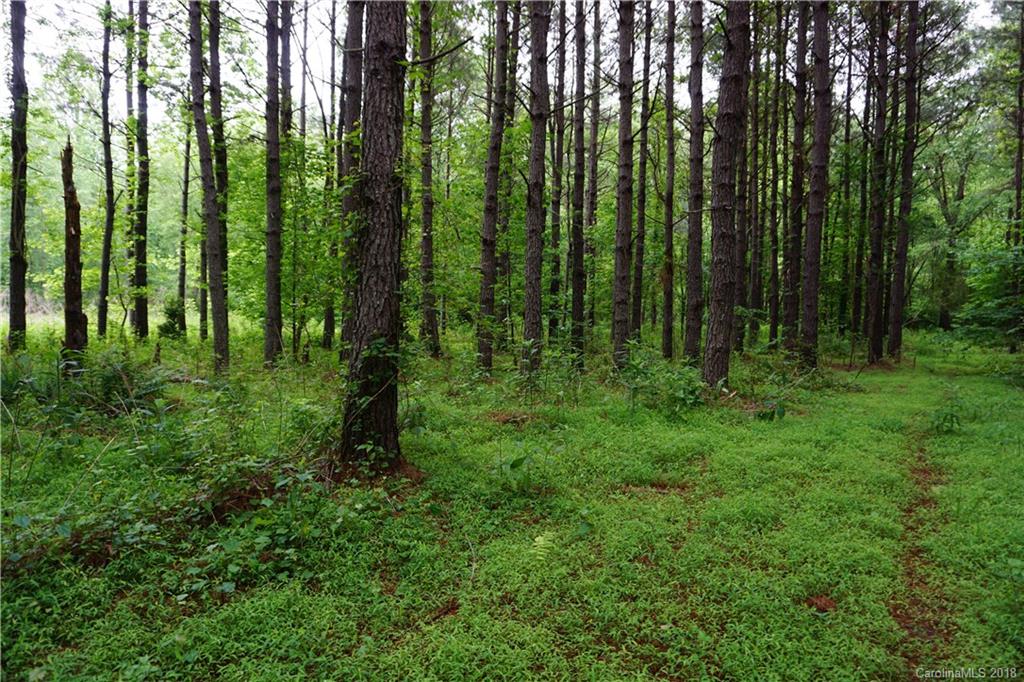 Lot # Spur Alley, Unit 11 Rutherfordton, NC 28139 - Photo 20 of 35 Gallery Image 20