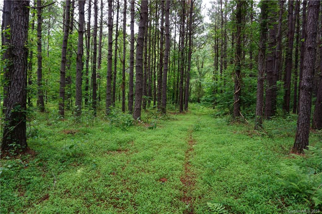 Lot # Spur Alley, Unit 11 Rutherfordton, NC 28139 - Photo 21 of 35 Gallery Image 21