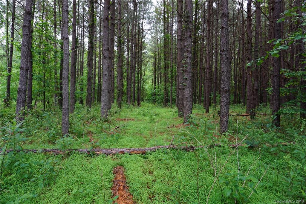Lot # Spur Alley, Unit 11 Rutherfordton, NC 28139 - Photo 22 of 35 Gallery Image 22