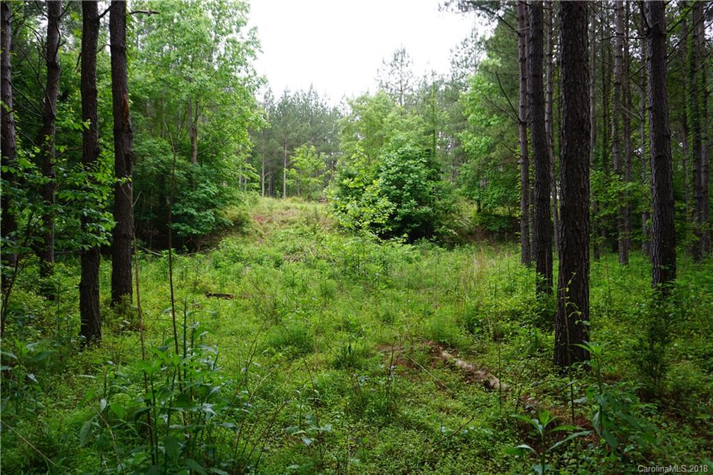 Lot # Spur Alley, Unit 11 Rutherfordton, NC 28139 - Photo 23 of 35 Gallery Image 23