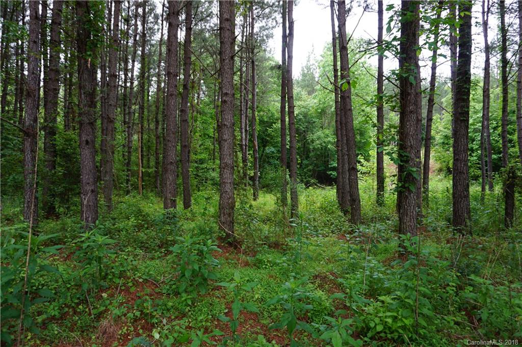 Lot # Spur Alley, Unit 11 Rutherfordton, NC 28139 - Photo 24 of 35 Gallery Image 24