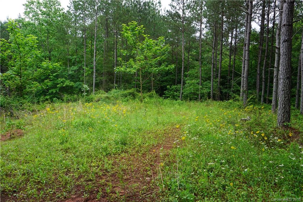 Lot # Spur Alley, Unit 11 Rutherfordton, NC 28139 - Photo 25 of 35 Gallery Image 25