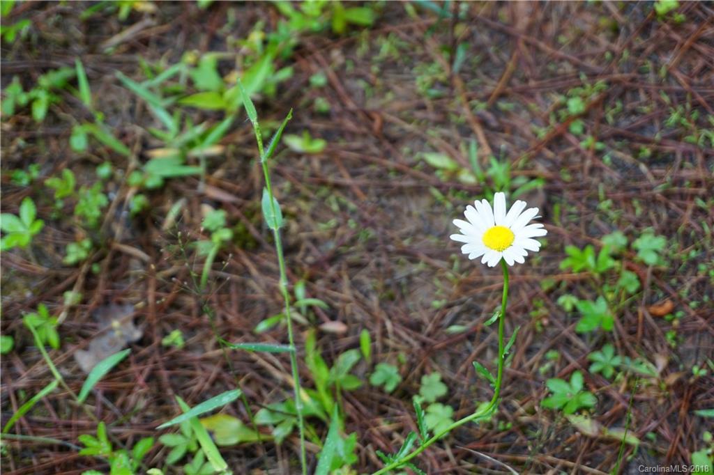 Lot # Spur Alley, Unit 11 Rutherfordton, NC 28139 - Photo 26 of 35 Gallery Image 26