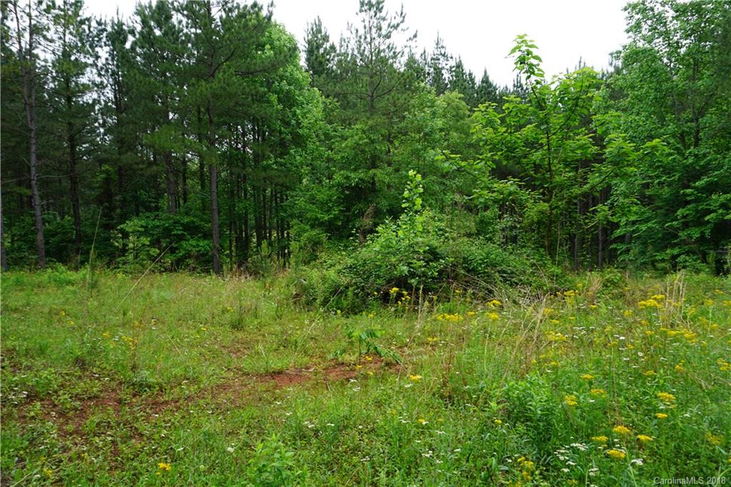 Lot # Spur Alley, Unit 11 Rutherfordton, NC 28139 - Photo 28 of 35 Gallery Image 28