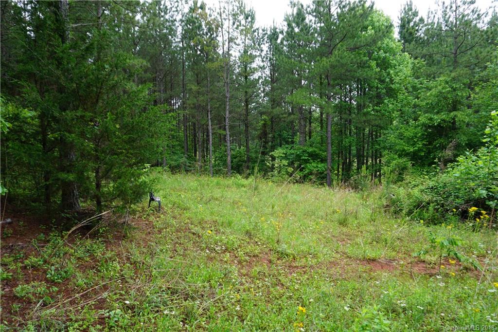 Lot # Spur Alley, Unit 11 Rutherfordton, NC 28139 - Photo 29 of 35 Gallery Image 29