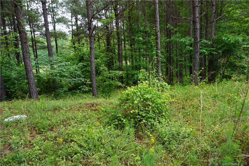 Lot # Spur Alley, Unit 11 Rutherfordton, NC 28139 - Photo 30 of 35 Gallery Image 30