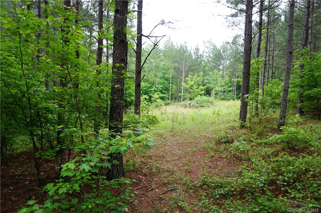 Lot # Spur Alley, Unit 11 Rutherfordton, NC 28139 - Photo 31 of 35 Gallery Image 31