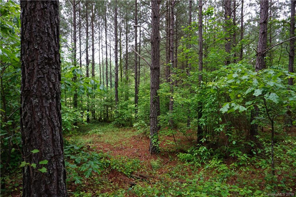 Lot # Spur Alley, Unit 11 Rutherfordton, NC 28139 - Photo 32 of 35 Gallery Image 32