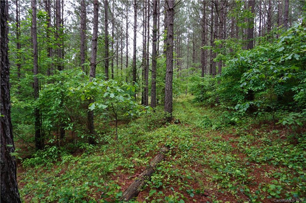 Lot # Spur Alley, Unit 11 Rutherfordton, NC 28139 - Photo 33 of 35 Gallery Image 33