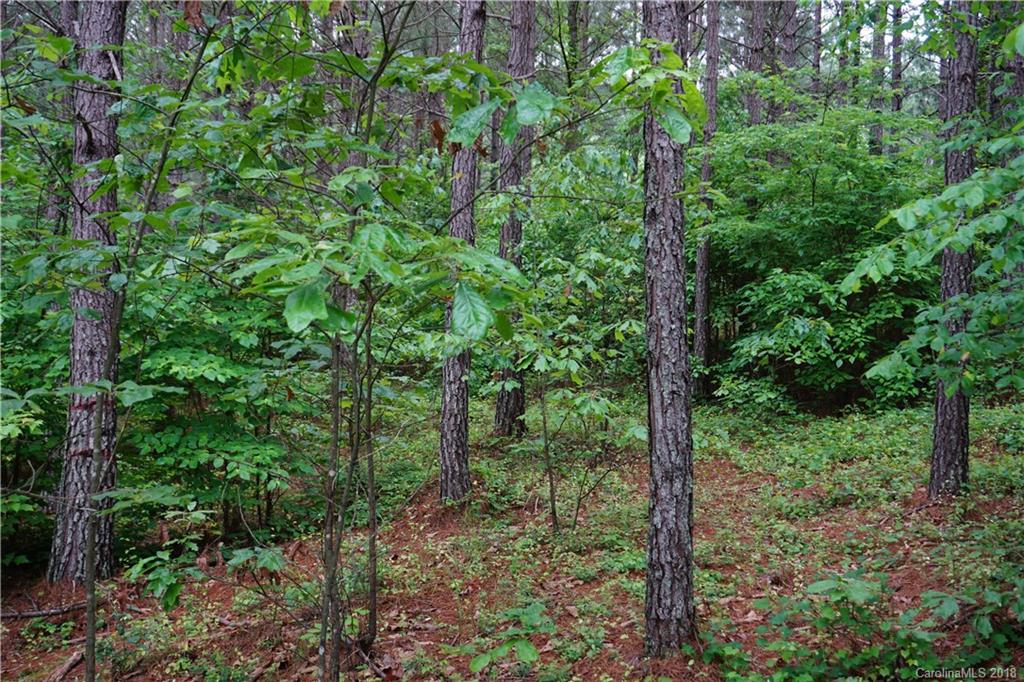 Lot # Spur Alley, Unit 11 Rutherfordton, NC 28139 - Photo 34 of 35 Gallery Image 34