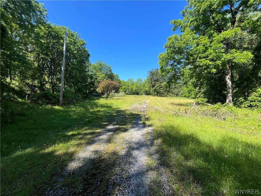 4880 Ransom Road Clarence, NY 14031 - Photo 42 of 42 Gallery Image 42