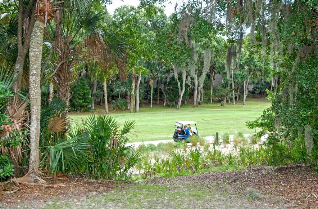 2511 High Hammock Road Johns Island, SC 29455 - Photo 58 of 62 Back Golf View 1_DSC_0045_f3