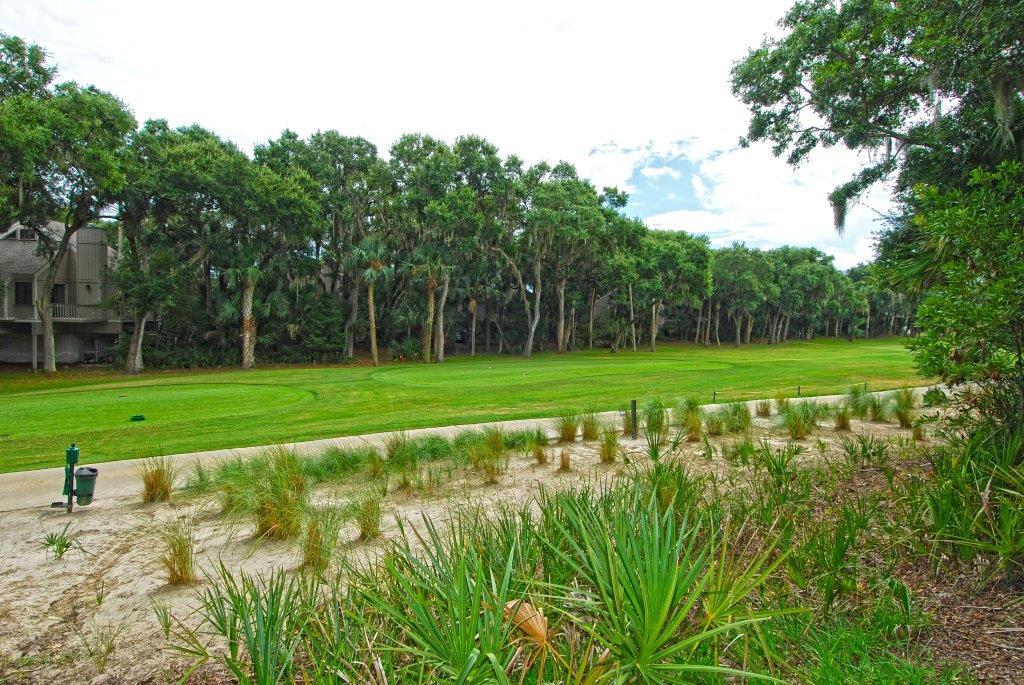 2511 High Hammock Road Johns Island, SC 29455 - Photo 59 of 62 Back Golf View 2_DSC_0090_f3