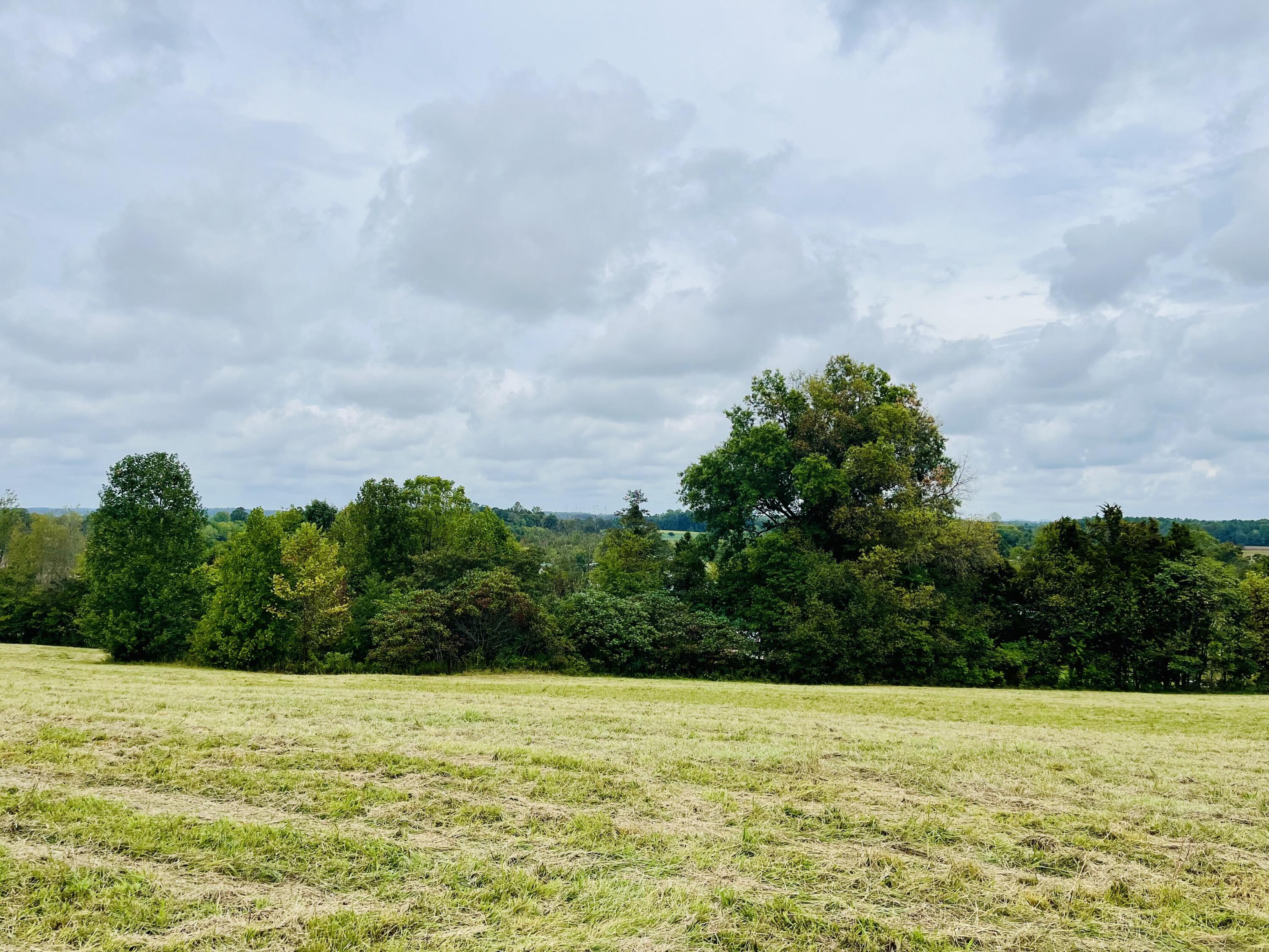 Lot 5 Smith Ridge Road Eubank, KY 42567 - Photo 1 of 24 IMG_4438 2