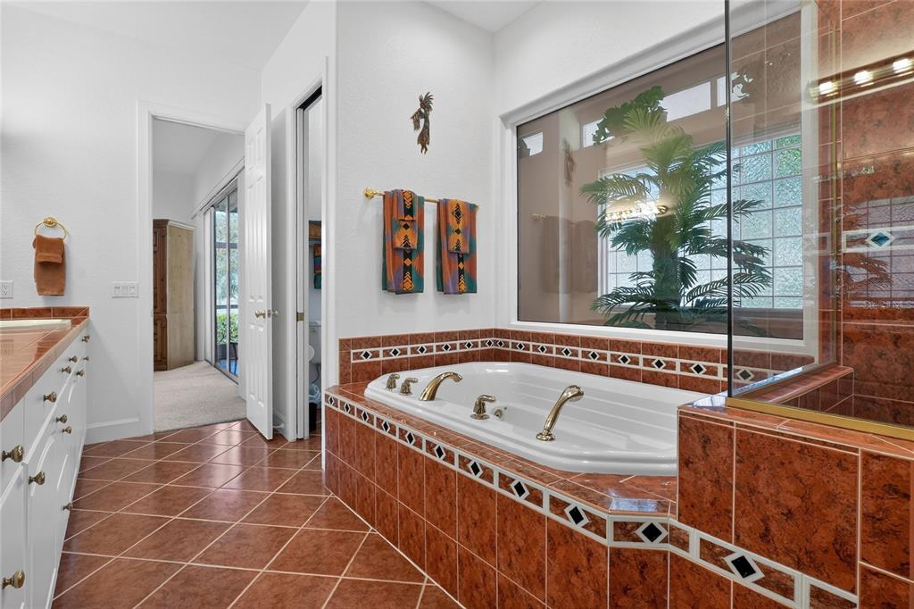 2968 Plantation Road Winter Haven, FL 33884 - Photo 34 of 81 a bathroom with a tub a sink a mirror and a shower