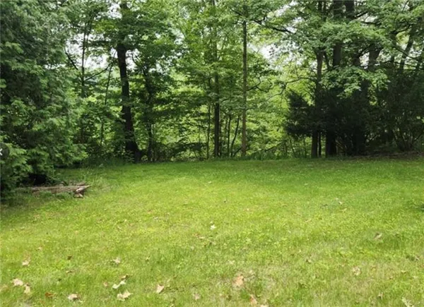 a view of a green yard