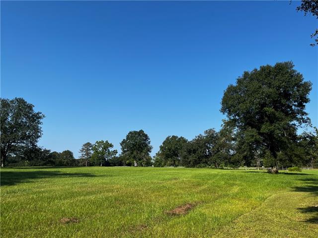 475 Deerfield Road Folsom, LA 70437 - Photo 6 of 35