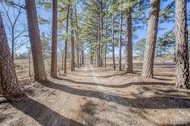 $315,000 | 36395 Highway 72, Salem, MO 65560