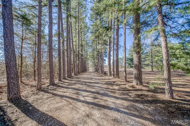 $315,000 | 36395 Highway 72, Salem, MO 65560