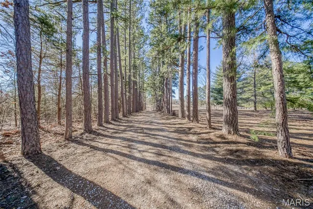 $315,000 | 36395 Highway 72, Salem, MO 65560