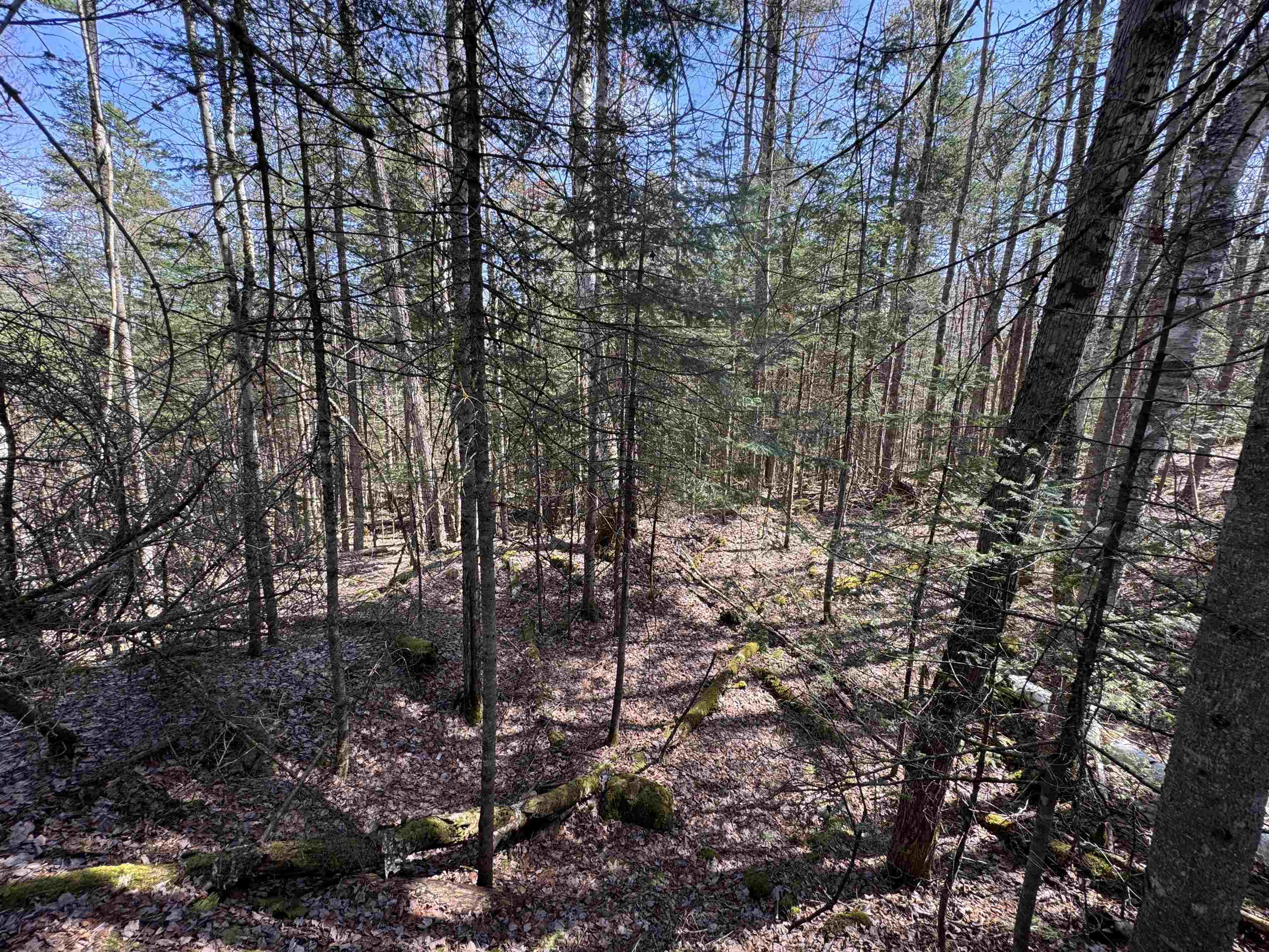 0 Prospect Street Bethlehem, NH 03574 - Photo 11 of 19