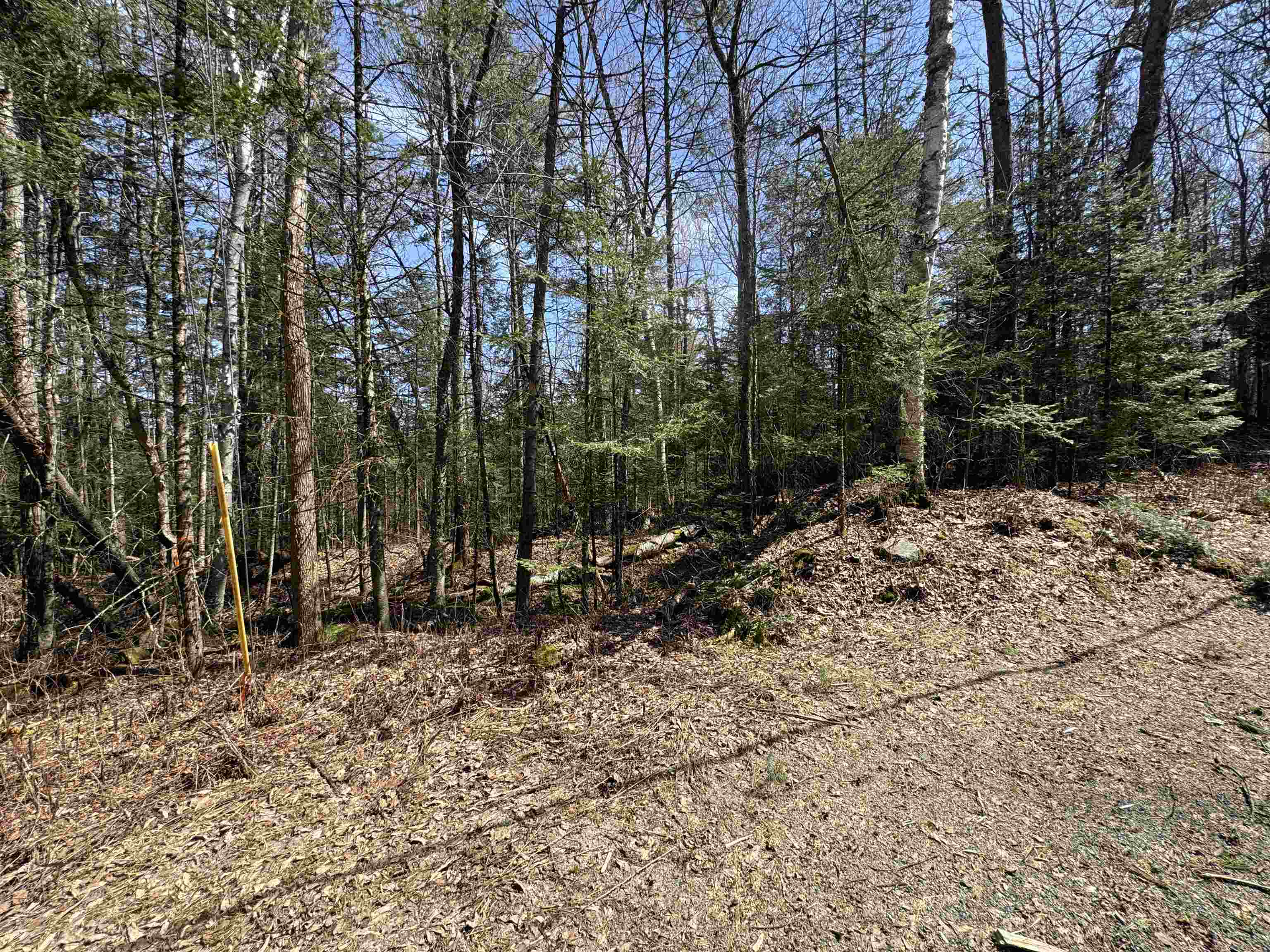 0 Prospect Street Bethlehem, NH 03574 - Photo 7 of 19