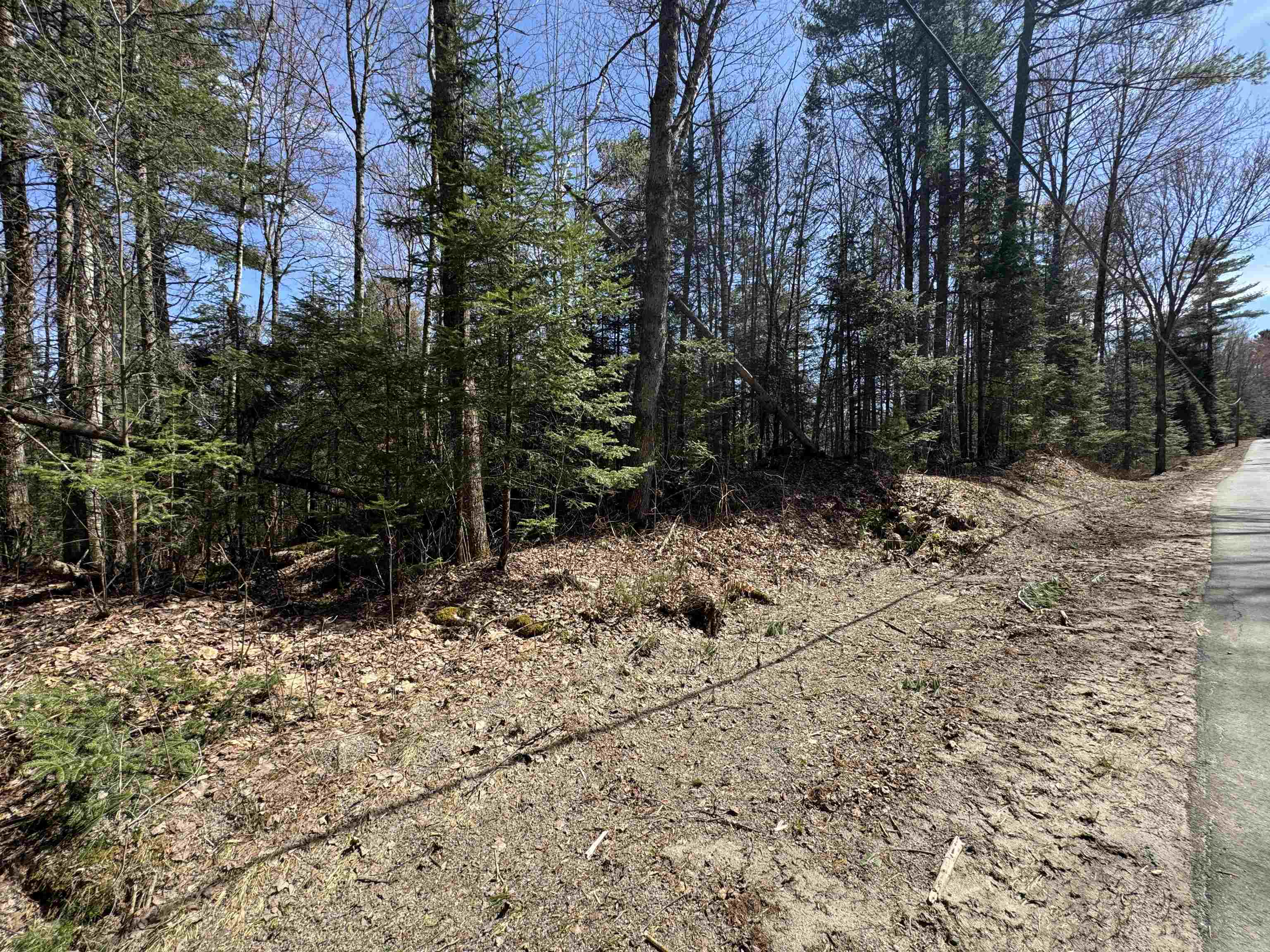 0 Prospect Street Bethlehem, NH 03574 - Photo 8 of 19