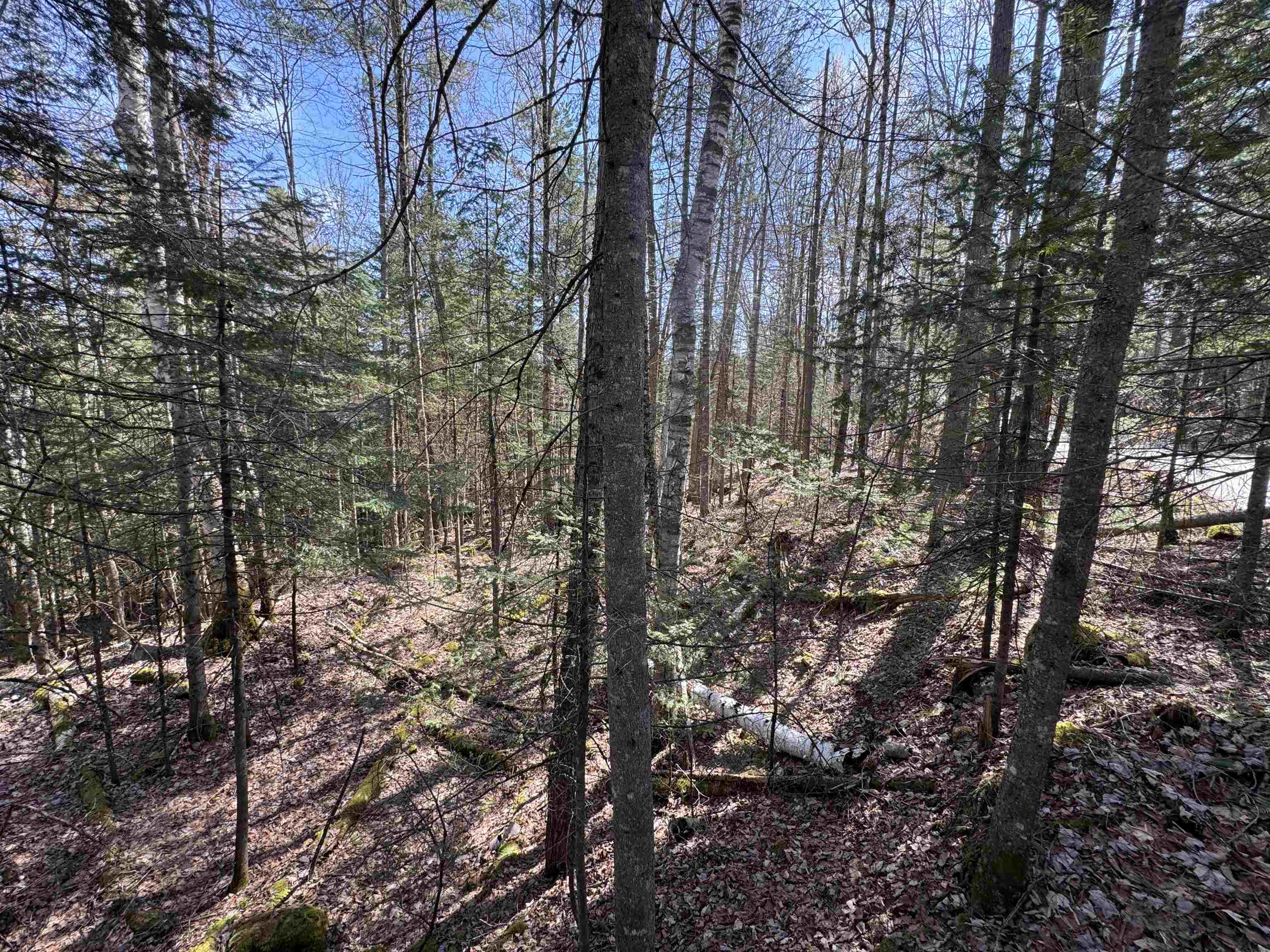 0 Prospect Street Bethlehem, NH 03574 - Photo 10 of 19