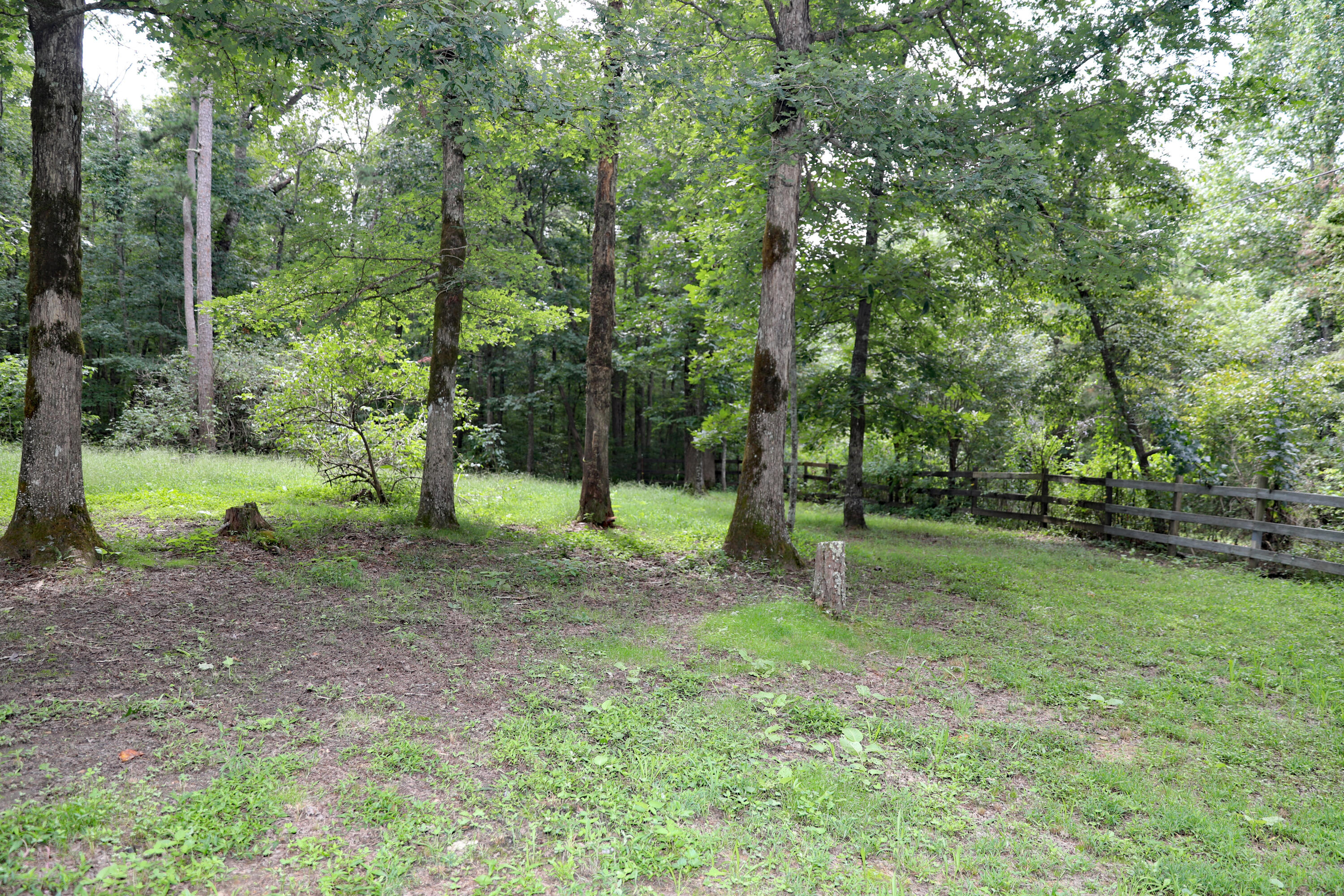 500 Little Fiery Road Sequatchie, TN 37374 - Photo 3 of 33 085A8207 copy